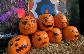 Halloween Pumpkin Archery